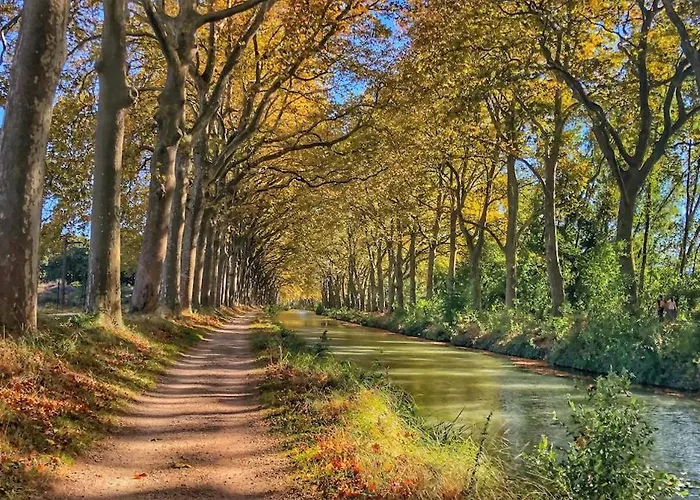 Daire Le Drapier - Centre - Luxe - Toulouse