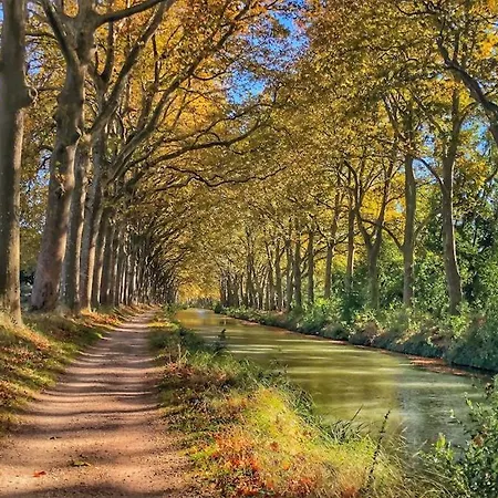 Lejlighed Le Drapier - Centre - Luxe - Toulouse