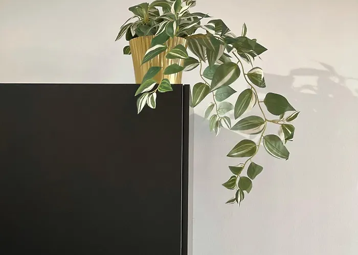 Appartement Le Drapier - Centre - Luxe - *