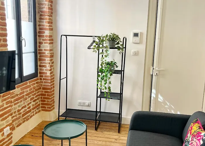 Appartement Le Drapier - Centre - Luxe - Toulouse